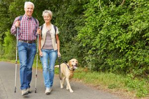 happy senior couple hiking with labrador retriever dog in summer